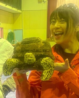 Rio Yamashita Instagram - 🐢🐢🐢🌸

@prbt_official 
#プレバト
#丸太アート