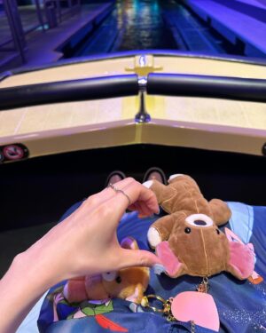 Ririko Masuzawa Instagram - 何年振りかの一人ディズニー🎠☁️
年パス時代思い出してめちゃくちゃ楽しかった…💙
#tokyodisneyland