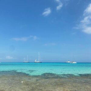 Rita Marrafa de Carvalho Instagram - É para verem tudo, faxavor. 
Na terra da indiferença à diferença, vive-se devagar e com prazer. 
Formentera é este espaço de liberdade, igualdade e calmaria na tormenta. 

Não venham. Isto é péssimo. ❤️