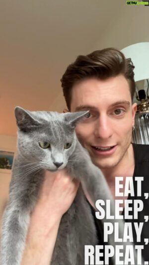 Riyadh Khalaf Instagram - Oh to be a cat.. Eat, Sleep, Play, Repeat. It’s a tiring existence that means nutrition is everything. Nothing beats @lilyskitchenpetfood to keep those kitty batteries charged for all of the mischief and mayhem 🐱 #ad