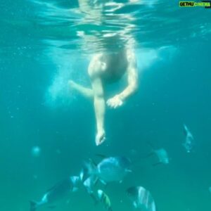 Riyadh Khalaf Instagram - A day at sea in the beautiful Los Cabos. What’s wild is seeing the exact same species of marine fish that I used to keep/breed but in their natural environment.. Damselfish, Tangs, Wrasses, pufferfish. I’m mind-blown by the natural beauty of this place 🌊🐠🇲🇽 @loscabostourism @palmpublicrelations #prtrip