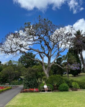 Rob Beckett Instagram - Had a meeting this week about my Australia and New Zealand Giraffe tour dates. Buzzing. Take me back to this massive tree.