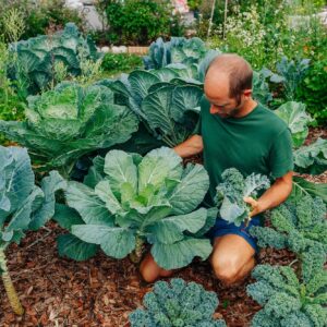 Rob Greenfield Instagram - Grow Food with Me!

Many of us struggle each day to live in harmony. We were born into systems of destruction of Earth, our fellow humanity and our plant and animal communities.

With some good fortune, I awoke to realize that this “American Dream” I was living for the first 25 years of my life is the world’s nightmare. Over the last decade I have strived diligently to liberate myself and to be of service in liberating others.
Liberation comes in many forms, yet I have found no form more accessible, more enjoyable, more holistic and nurturing, more life-cascading, than the simple act of growing my own food. Growing our own food while practicing reciprocity with Earth is to grow our own liberation.
That’s why I want you to grow food with me!

This year I’m offering the Grow Your Own Food Seed Pack to you with a variety of 20 healing greens, hearty veggies, tasty herbs and a mix of pollinator friendly flowers. The pack was designed specifically for the beginner gardener with the easiest foods to grow from seed! It includes enough seeds to fill two 4’x8’ raised beds and can grow over $400 of food if used diligently. It is available for a donation of $20 and 100% of the funds raised support our service to Earth and humanity! We also have a Community Pack, perfect for larger scale growing initiatives. 

Along with the pack, I have created an 11 part video series to show you exactly how to grow your own food – from planting the seeds, to tending the garden, to harvesting the food! Although I have grown and foraged 100% of my food for a year, it was just six years ago that I was a beginner gardener. I still remember what it’s like to worry about the most basic things- how to plant a seed, how much water to give the garden, when to harvest the first leaves!

This series is highly accessible, whether you have ever planted a seed before, or whether you have just a balcony to grow food on or a whole front yard! The series is designed using the exact seeds from the Grow Your Own Food Seed Pack.

Grow Food With Me!
Order your pack and watch the series here! (Link in bio)

Love,
Robin