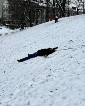 Robert Brosowski Instagram - Det var ett nöje Sverige! - Es war mir eine Freude Schweden! Eine weitere kulinarische Reise ist zu Ende gegangen! Der Norden gefällt mir sehr! Auf Winterfe… ehh ich meine Stockholm!💪