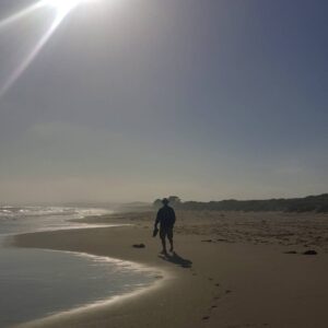 Robert Knepper Instagram - #pointreyes #mypath #mychurch #the_robert_knepper_official #nature