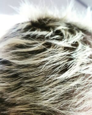 Robert Knepper Instagram - porcupine quills