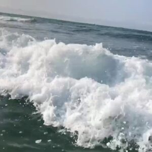 Robert Roldan Instagram - Hey Universe, uhh the trip I have planned for my birthday to Hawaii in July...could that still happen?Thanks, Rob. 🙏🏽
Ps...getting K.O.ed by a wave, sounds like the best gift at this point. ➡️
