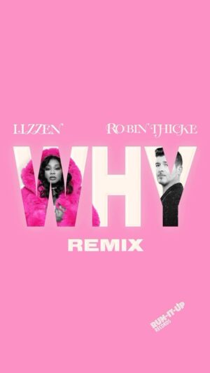 Robin Thicke Instagram - My remix for “Why” is out now @iamlizzen