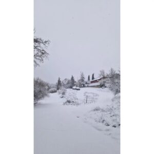 Rocío Muñoz-Cobo Instagram - Menudo finde regalo!
Que bonito ha sido.
Desliza a la última foto si quieres conocer a Jesús (Yisus) el nuevo miembro efímero de la familia.

❄️🤍☃️