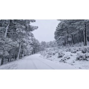 Rocío Muñoz-Cobo Instagram - Menudo finde regalo!
Que bonito ha sido.
Desliza a la última foto si quieres conocer a Jesús (Yisus) el nuevo miembro efímero de la familia.

❄️🤍☃️