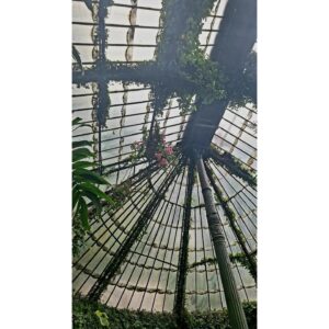 Rocío Muñoz-Cobo Instagram - Hacía mucho (demasiado) que no venía al invernadero tropical del Jardín Botánico, unos de los mejores que he visitado.
Es un escenario perfecto de luz y humedad llenito de plantas exóticas, comestibles, carnivoras, nenúfares, lotos...

El recinto acoge además expos de arte y los martes por la mañana es gratuito.

Es un PLANAZO.

#rocilovesmadrid #madrid #madridcity #planesmadrid