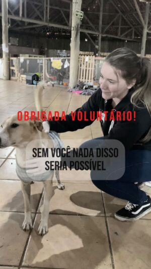 Rodrigo Dorado Instagram - Hoje celebramos 31 dias de abrigo e queremos dedicar esse post a todos os voluntários incríveis que tornaram isso possível. Não foi fácil, mas com a força e a dedicação de cada um de vocês, conseguimos superar todos os desafios.

Cada momento de carinho, cada esforço e cada gesto de amor fez toda a diferença para nossos cãezinhos resgatados. Vocês são a prova viva de que a solidariedade e a união podem transformar vidas.

Muito obrigado a todos os voluntários! Sem vocês, nada disso seria possível. Vocês são verdadeiros heróis e cada um de vocês tem um lugar especial em nossos cor”au”ções. 🐶❤️

Vamos continuar juntos nessa missão, espalhando amor e esperança para todos os nossos amigos de quatro patas!

🚨Pix: caesresgatados@gmail.com
🔗Link da vakinha na bio

#voluntários #gratidao #caesresgatadoscanoas #caesresgatados #solidariedade #amoranimal #amparanimal #enchentesrs #sosriograndedosul
