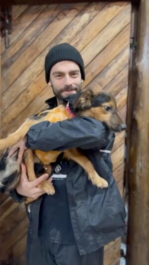 Rodrigo Dorado Instagram - TROUXEMOS 17 DOGS DO SUL!!! 🐶 Eu nem acredito que isso foi possível, porém ainda tem MILHARES de animais lá esperando por um lar!! 😭😭😭😭

Todos nós estamos extremamente abalados com o que vivenciamos lá nessa 1 semana intensa, e gostaríamos de te dar 3 DICAS DE OURO pra ajudar os animais do Rio Grande do Sul:

1º ADOTE! 🙏🏻
www.AdoteRS.org.br (Link na Bio)
🙏🏻 Entre no site e escolha o seu dog que levamos ele até SP (Capital) pra você! 

Os animais precisam URGENTEE sair de lá e ganhar muito amor e carinho, tá um inferno lá pra eles, sério!! 😭😭😭

2º FAÇA UMA DOAÇÃO 💚
Pix: animaisgauchos@gmail.com
(Em favor de Celebridade Vira-lata)

Doe o quanto puder, o importante é ser de coração 💚

3º SEJA VOLUNTÁRIO 🫡
A @amparanimal está organizando excursões GRATUÍTAS (hospedagem e transporte) até o abrigo da ULBRA em Canoas / RS.

São INFINITAS as formas de se ajudar dentro de um abrigo de animais, vá de coração aberto pra ajudar a quem mais precisa nesse momento 🥲

Queremos agradecer especialmente a @amparanimal por ter organizado toda viagem, a toda equipe do abrigo @caesresgatadoscanoas , a @mari.angeloni por ter viabilizado a volta de avião, pela @fab_oficial por todo respeito e suporte que deu para os animais no vôo e por todos os adotantes dos doguineos que se sensibilizaram e acolheram essas alminhas tão puras, MUITO OBRIGADO A TODOS!!! 🥰🥰🥰

E essa missão só começou: enquanto não esvaziarmos todos os abrigos de animais lá do Sul não descansaremos, e precisamos MUITO da sua ajuda também!! 🙏🏻