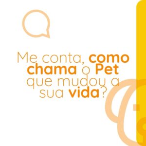 Rodrigo Dorado Instagram - Me conta, como chama o cachorro/gato que mudou a sua vida? O nosso se chama Bento.

No dia 26 de setembro de 2019, a @moniquemunhoz me encaminhou a foto do @bentomunhozdorado e fomos correndo na @adotevica conhecer sua história. 
(Postei nos stories o print da nossa conversa)

Não resistimos às suas lambidinhas e ao seu charmoso dentinho, e ao conhecer sua história, tivemos certeza da decisão: ADOTAR.

Bento foi resgatado de um canil clandestino na Zona Leste de São Paulo pelo @recantobichofeliz . Ele vivia nesta gaiola e era o macho matriz, ou seja, o que cruzava com as fêmeas.
Isso explica o fato de ele ser um cãozinho que vive em estado de alerta, sendo muitas vezes agressivo, quando um humano chega perto dele para fazer carinho, por exemplo. 

Bento não sabia o que era carinho, não sabia o que era brincar, mas aos poucos foi entendendo o significado do AMOR. Hoje ele pede para ser acariciado e é totalmente fascinado pelas suas bolinhas de brinquedo. #nãocompreadote #ᴛʙᴛ