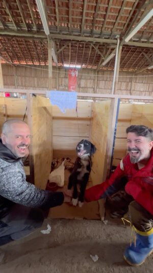 Rodrigo Dorado Instagram - Dando as mãos conseguimos propagar o amor: ouça seu coração e adote um animal vítima das enchentes do Rio Grande do Sul 💚🐶🙏🏻

Entre no site e encontre o seu fiel companheiro (e podemos ver a possibilidade de mandar até você! 🥰) 
www.AdoteRS.org.br
(Link na Bio)

🚨 FAÇA UMA DOAÇÃO 💚
Pix: animaisgauchos@gmail.com

Doe o quanto puder, o importante é ser de coração 💚