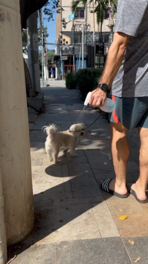 Rodrigo Dorado Instagram - Recolho número 2 e limpo o número 1. 
A vizinhança agradece.
#petlovers #petdicas #dicas #dog #sp #saopaulo 

Gostou da dica?