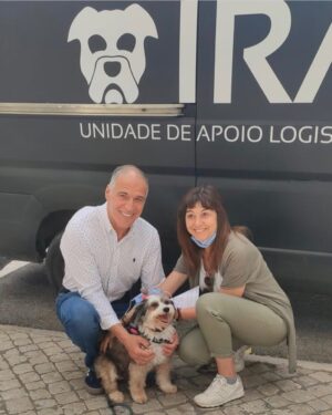 Rodrigo Guedes de Carvalho Instagram - Faz hoje um ano que a Cuca veio para casa.