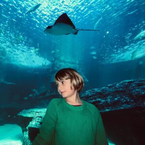 Rolanda Marais Instagram - @2oceansaquarium  Ons gaan gereeld na die Akwarium . Charlotte ken al die visse en feite. What a wonderous place . 🐟🐠🐡🦀🐙🦈🦭🦑🪸🐚🪼🐚🦀