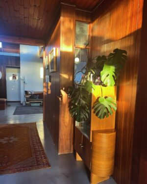 Rolanda Marais Instagram - Ek sal nooit moeg raak van die ligspel in ons huis as die son sak nie. Elke seisoen êrens anders n stukkie magic teen die muur. Soos n kunswerk wat konstant verander... #ooswestuisbes #midcenturyhome #midcenturymodern