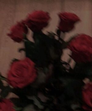 Roman Lochmann Instagram - 🌹
