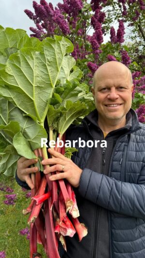 Roman Paulus Instagram - Sezóna rebarbory je v plném proudu, pojďte si jí užít naplno! Určitě vyzkoušejte tuto úžasnou zeleninu než bude pozdě.
Pozitivní účinky rebarbory jsem Vám sepsal do stories a zítra si společně připravíme báječný rebarborový džem.

A co Vy? Máte rádi rebarboru nebo jí spíš tiše ignorujete? Napište mi do komentářů a nezapomeňte mě sledovat pro více skvělých receptů s triků do kuchyně. 

Přeji Vám krásný den!

#recepty #recept #rebarbora #reven #jaro #sezona #marmelada #dżem #chutney #tipy #rady #nachleba #dezert #svacina #sefkuchar #romanpauluschef #romanpaulus