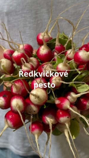 Roman Paulus Instagram - RECEPT NA PESTO Z ŘEDKVIČKOVÝCH LISTŮ
 
Ředkvičky, kdo by je nemiloval? Krásné, kulaté, červené, plné chuti. Jak si s nimi poradíte Vám poradím v krátkém videu, co ale možná nevíte, že můžete využít i jejich nať - kdo ji vyhazuje, dělá velikou chybu! Dá se z ní totiž vyrobit skvělé ředkvičkové pesto. Nejlepší na něm je, že vám stačí doslova jenom pět minut a malý mixér. Pesto si pak můžete pod tenkou vrstvou oleje uschovat v lednici, kde bez problémů několik týdnů vydrží, ale nejlepší je se do něj hned pustit. Výborně chutná s čerstvě uvařenými těstovinami nebo jen tak na opečeném chlebu či bruschettě.

Co budete potřebovat?

150 g ředkvičkových listů
3× stroužky česneku
40 g parmezánu
30 g pistáciových ořechů (pražené, nesolené)
150 ml extra panenského olivového oleje
  na opečení chleba
sůl
pepř
chléb nebo bagetu, případně i těstoviny
ředkvičky na ozdobu

Jak budete postupovat?

Pokrájené ředkvičkové listy, pokrájené stroužky česneku, strouhaný sýr, celé pistácie, olej, sůl a pepř dáme do mixéru a dobře rozmixujme.
Chléb nakrájíme na plátky a v rozpálené pánvi s trochou olivového oleje opečeme.
Pesto podáváme na topince ozdobené kouskem ředkvičky. Výborně chutná i s těstovinami a sýrem.

Dobrou chuť!

#recepty #recept #redkvicky #jaro #jarnirecepty #zdrave #zdraverecepty #vikend #pesto #redkvickovepesto #zahrada #zahradka #zahradkar #jidlo #jidlonaprvnimmiste #jidlojelaska #jidlojezaklad #zelenina #sefkuchar #romanpauluschef #romanpaulus