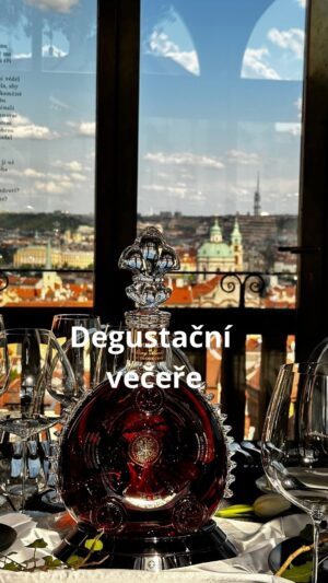 Roman Paulus Instagram - Být kuchařem stojí za to 😉. 

@lukashlavacek.chef 
@pavelsapik 
@mirazl 

#degustace #degustacnivecere #zazitek #gastro #akce #louisxiii #louisxiiicognac #cognac #konak #rarecask #sefkuchar #romanpaulus #romanpauluschef