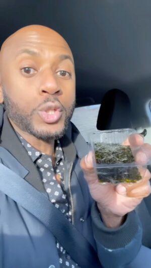 Romany Malco Instagram - However tragic, these types of gurus tickle me. 

I’m live on #Cameo.