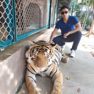 Romit Raj Instagram - I Love Tigers ❤️ 🐾 
My Most Favourite 
#tiger #animal #beast #wildcats #wildlife #RomiitRaaj #RR1