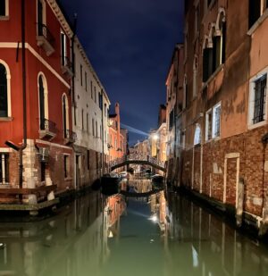 Romy Rosemont Instagram - Venezia
