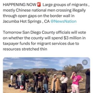 Ron DeSantis Instagram - This is not normal. Our country is being invaded.

We cannot afford to take half measures or make excuses on this issue. We must stop the invasion, take the fight to the cartels, and finally build the border wall.

As your Commander-in-Chief, I will get it done.