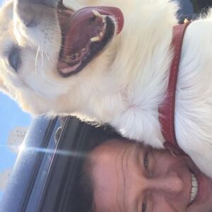 Ronaldo Oliva Instagram - Cachorros adoram uma ventania e nós pegamos uma carona!
.
.
.
.
.
#filmagem #video #pet #amiga #passeio #verao #greatselfie #viajar
