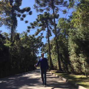 Ronaldo Oliva Instagram - Araucárias ... 🌲🌿🍃 .
.
.
.
#camposdojordao #lugares #place #araucaria #natureza #nature #naturelovers #naturaleza #arvores #tree #arboles #semfiltro #nofilter #photo #foto #photografy #fotografia #instafoto #instagrammers #instaphoto #inverno #frio #winter