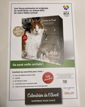 Rose-Aimée Automne T. Morin Instagram - Noune-Alexandre Gallagher est en vedette sur le calendrier de l’Avent pour chats de la Fondation BEA! Une belle façon d’encourager les organismes qui soutiennent nos animaux adorés (nos enfants). Listes des détaillants sur le fondationbea.org!