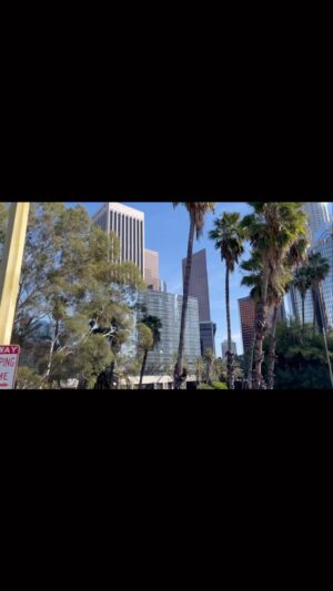 Rubén Albarrán Instagram - My beloved LA, 4ever etched in my heart with a lingering sense of sorrow