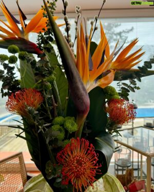 Rui Oliveira Instagram - O novo artista cá de casa até já recebe flores. 🌹 😀@glam.celebrity