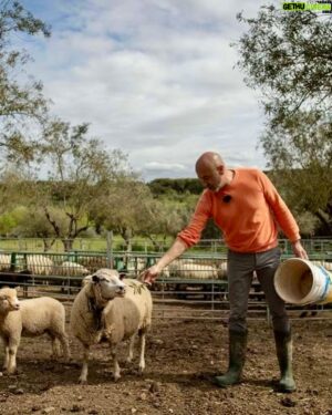 Rui Oliveira Instagram - Tomei a liberdade de replicar aqui as fotos publicadas na revista VIDAS do CM porque irresistíveis. São do Rui feito homem do campo.