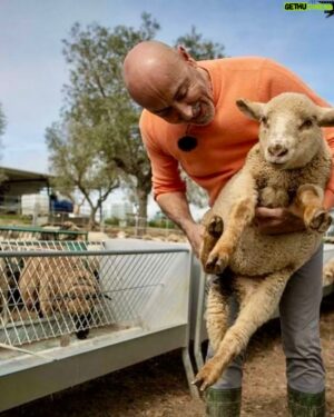Rui Oliveira Instagram - Tomei a liberdade de replicar aqui as fotos publicadas na revista VIDAS do CM porque irresistíveis. São do Rui feito homem do campo.
