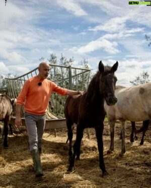 Rui Oliveira Instagram - Tomei a liberdade de replicar aqui as fotos publicadas na revista VIDAS do CM porque irresistíveis. São do Rui feito homem do campo.
