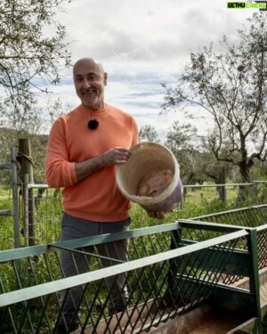 Rui Oliveira Instagram - Tomei a liberdade de replicar aqui as fotos publicadas na revista VIDAS do CM porque irresistíveis. São do Rui feito homem do campo.