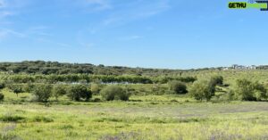Rui Oliveira Instagram - #amaroalentejo #alentejo #portugal🇵🇹 #land #paradise #quiet 😉😜✌️#bomfimdesemana