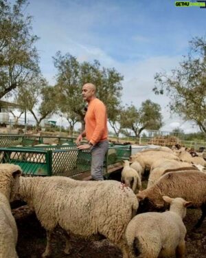 Rui Oliveira Instagram - Tomei a liberdade de replicar aqui as fotos publicadas na revista VIDAS do CM porque irresistíveis. São do Rui feito homem do campo.