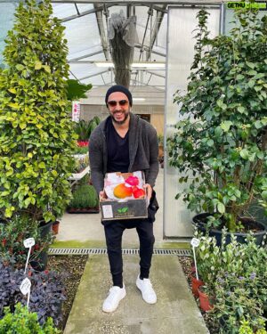 Rui Sinel de Cordes Instagram - Quem é este Cordes que trocou as festas e as ressacas por fruta e legumes frescos? 
Um madurão, um sábio, um campino, um inocente felizardo é quem é este Cordes.