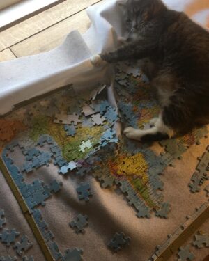 Russell Hodgkinson Instagram - My cat is not happy with this world! 🌎