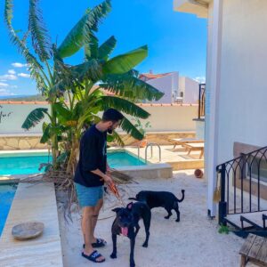 Rüzgar Erkoçlar Instagram - Thor &  Zeytin😛💚