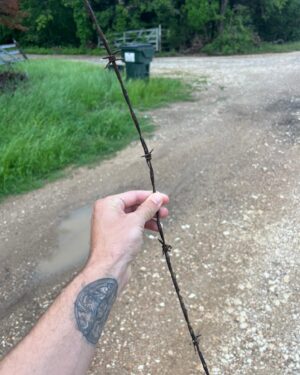 Ryan Holiday Instagram - I’ve lived on a rural country road for many years. It’s unpaved and unmaintained by the county or the state, lined with trees, and more frequently crossed by deer and jack rabbits than people. It’s a throwback to an older, simpler way of life.

It’s also a throwback to a scene I’ve always remembered from Mad Men, where Don Draper and his family finish their picnic and then nonchalantly throw all their trash into the grass below.

My experience walking and running and biking and driving on this road has been to witness the return of that attitude. People dump tires and old mattresses. They dump debris from construction sites. They dump beer bottles and candy wrappers. They dump illegal deer kills and for some inexplicable and alarming reason, a lot of dead dogs.

At first, this just pissed me off — especially because the nails kept giving me flats. It made me angry at humanity and the place that I lived. I tried calling the police and animal control and my local politicians — of course, they did nothing. I put up cameras which did nothing. I despaired about the climate and the future. I thought about moving.

But then one morning on my walk with my kids, a thought hit me that was both freeing and indicting. How many times do I have to walk past this litter, I thought, before I am complicit in its existence. Even if I moved to a place where this didn’t happen, I thought, it would still be happening here. Marcus Aurelius was right when he said that you can also commit injustice by doing nothing.

So I started cleaning it up. The tires went into the back of my truck—and I paid to have them properly recycled. I tossed nails and screws into the trash. I’ve put on face masks and gloves to scoop up dead dogs, which I burned or took to the back of my ranch to decompose in a less disruptive place.

I can’t say the experience is pleasurable and it’s not exactly saving the world, but it is empowering.

I talk in my new book “Right Thing Right Now” (you can preorder it at the link in bio) that Justice is about starting small and doing what you can to save people from trouble or pain—and that these little things add up.
