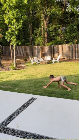 Ryan Lochte Instagram - What is going on!?!? 🤦🏼‍♀️ Another day in the Lochte household. Where do they come up with these things!? 🤣#zoo #animals #circus 🎪