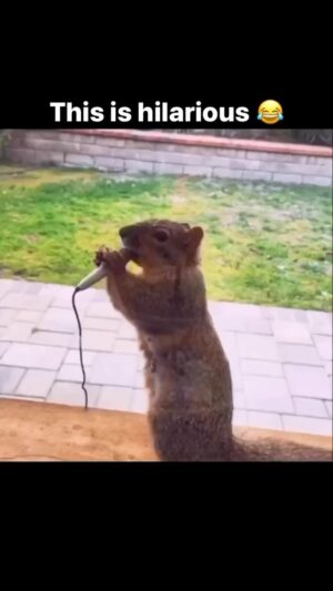 Ryan O'Nan Instagram - My dude is nice on the mic. #😂 #🐿