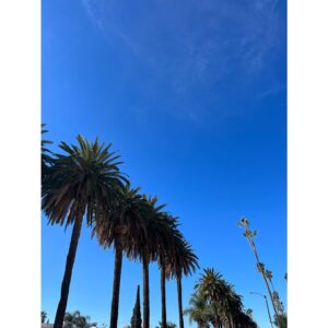 Ryann Shane Instagram - winter in LA (minus the rain)