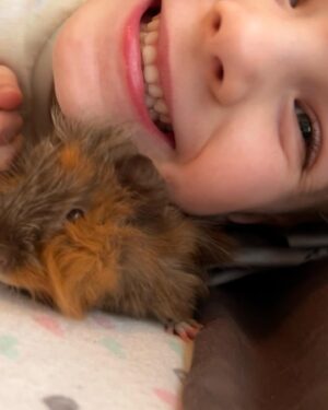 Rylea Nevaeh Whittet Instagram - Meet Miss Rosie & Fluffy!  Rylea loves her new guinea pig daughters.. Teddy really wants to “play” with them. #ryleanevaehwhittet #ryleawhittet #maddyfrommaid #guineapig #guineapigs #guineapigsofinstagram #guineapiglove #wednesday #blueeyes #smileyrylea #mykidisthecutest